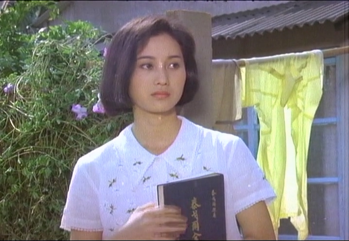 [竹篱笆外的春天].Spring.Outside.of.the.Fence.1985.DVDRip.x264.AC3-974y.mkv_20250.jpg
