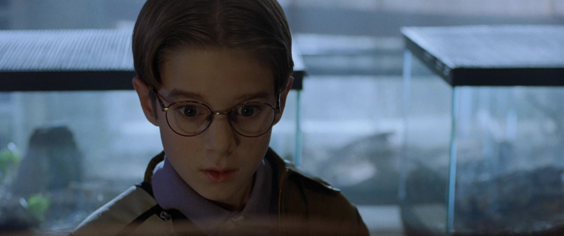 八脚怪.Eight.Legged.Freaks.2002.2Audio.CN.mkv_20250712_154747.138.jpg