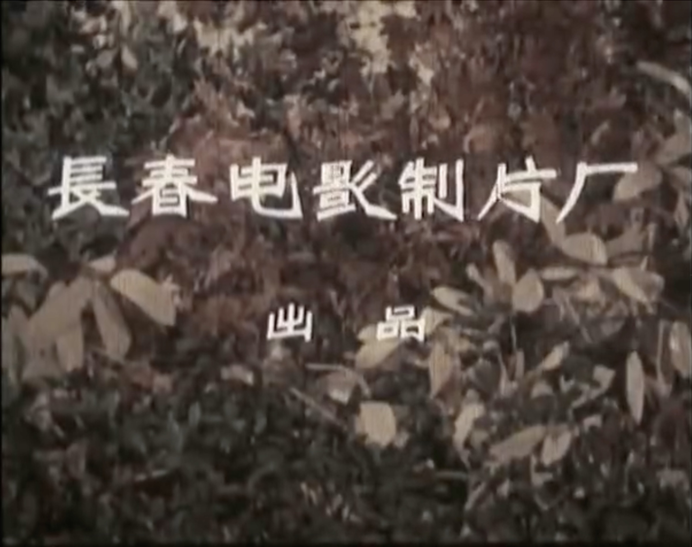 截屏2025-07-19 19.25.16.jpeg