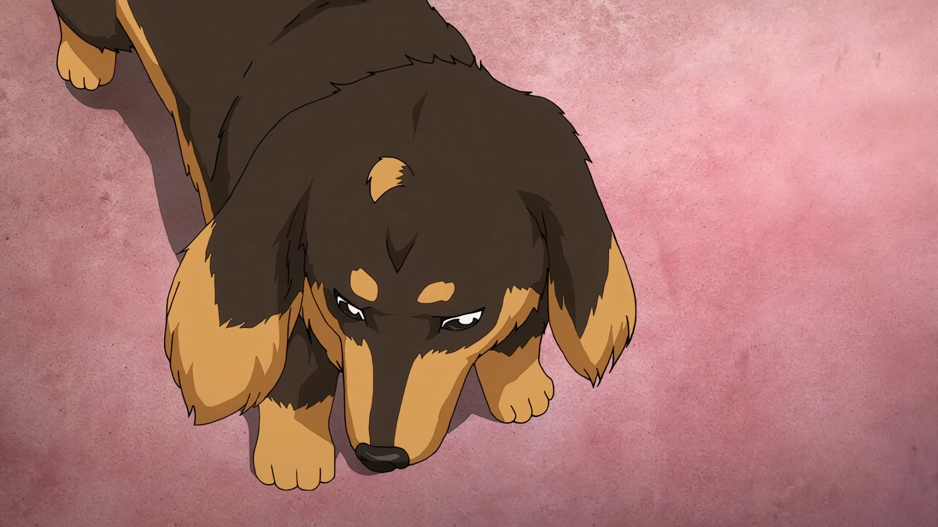 马丁的早晨 16.mkv_20250727_113841.597.jpg