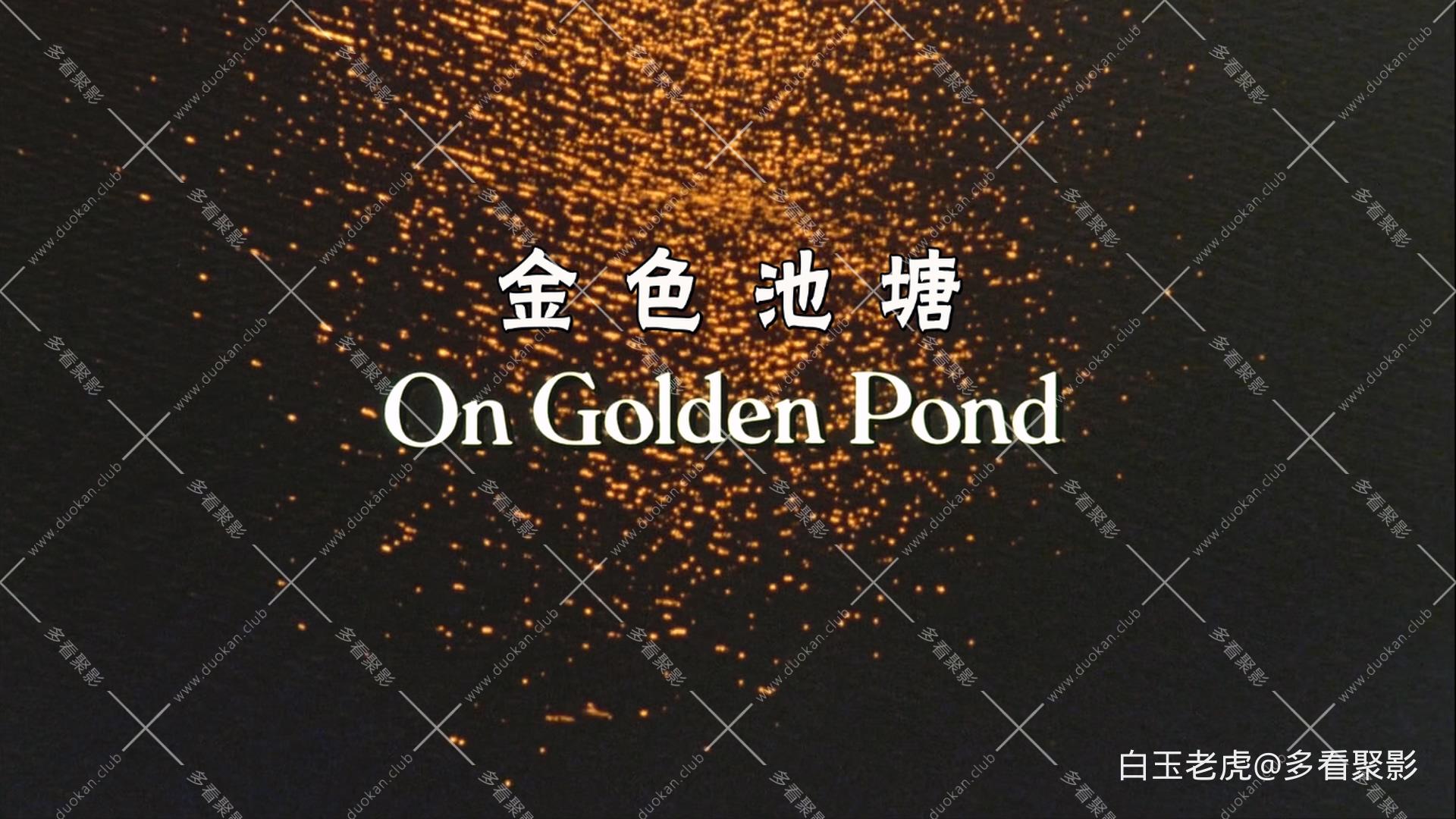 On.Golden.Pond.1981.1080p.BluRay.x265.10bit.2Audio-MiniHD.mkv_20250913_001341.421.jpg