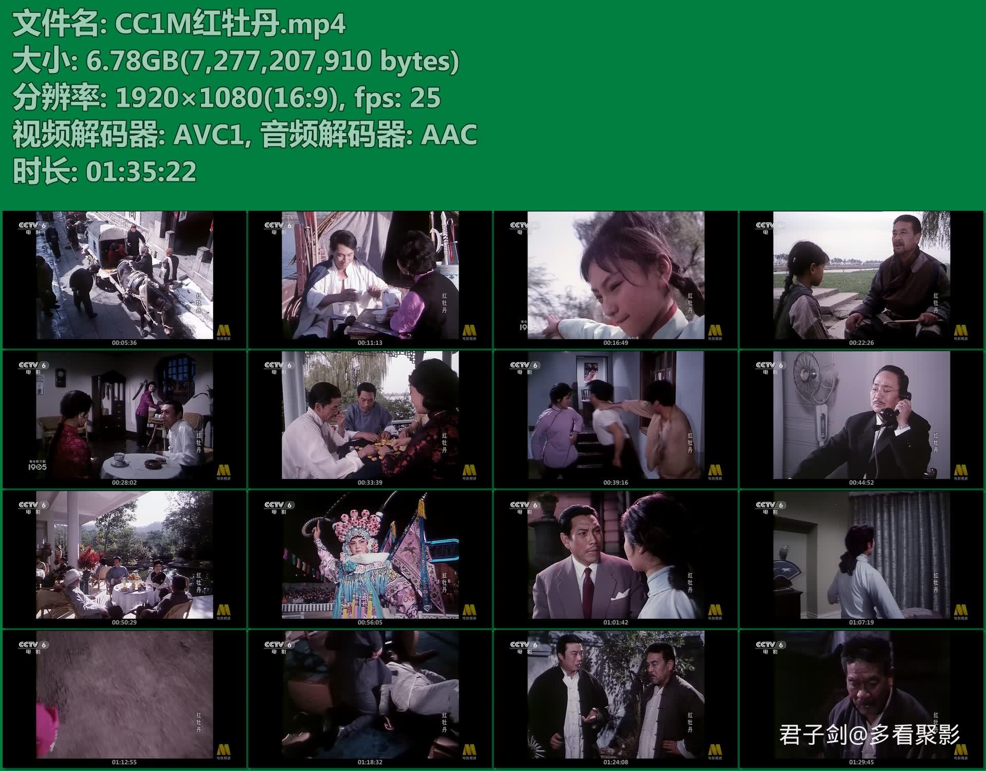 CC1M红牡丹.mp4.jpg CC1M红牡丹.mp4.jpg