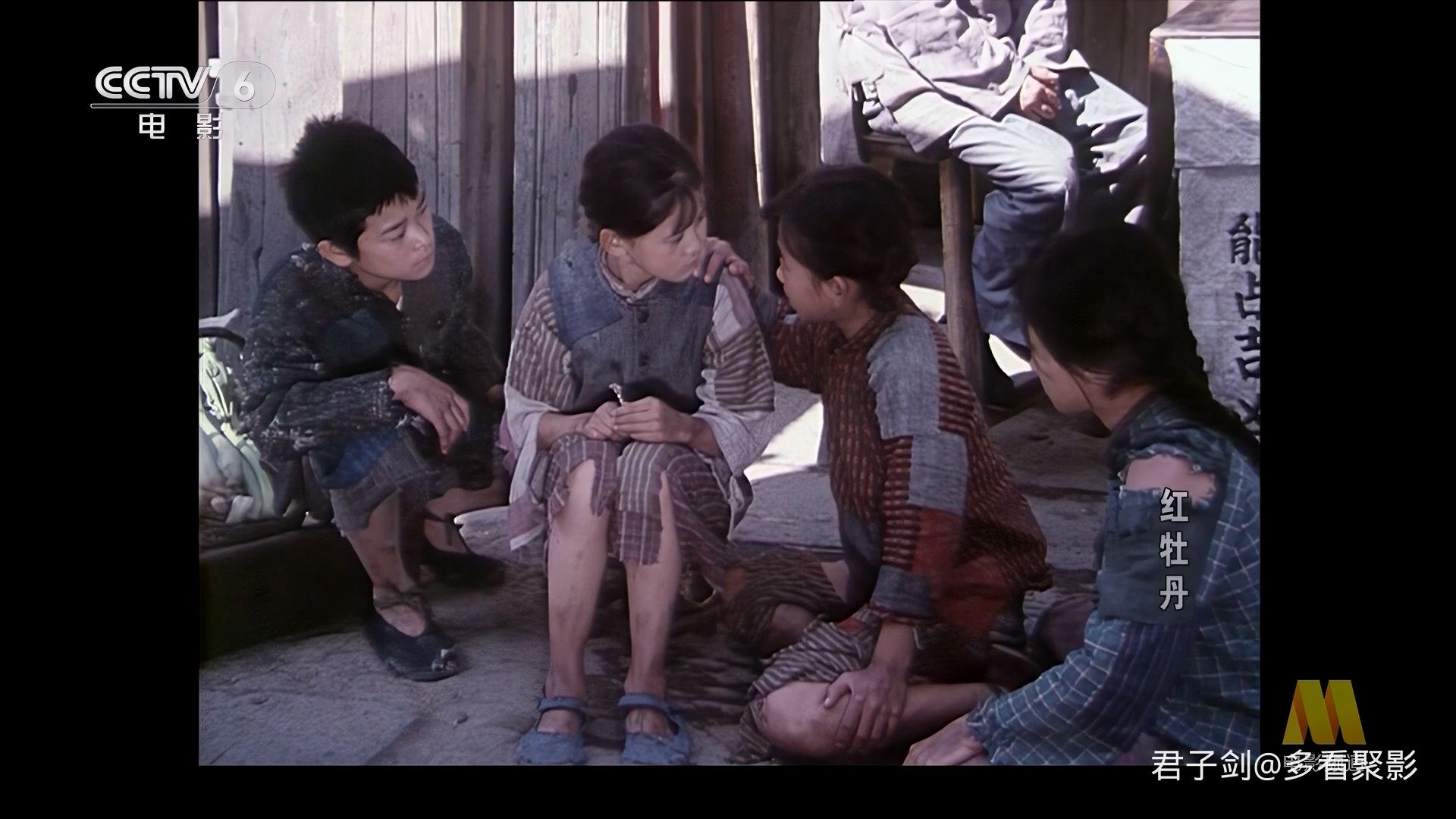 CC1M红牡丹.mp4_20250923_061547.391.jpg CC1M红牡丹.mp4_20250923_061547.391.jpg