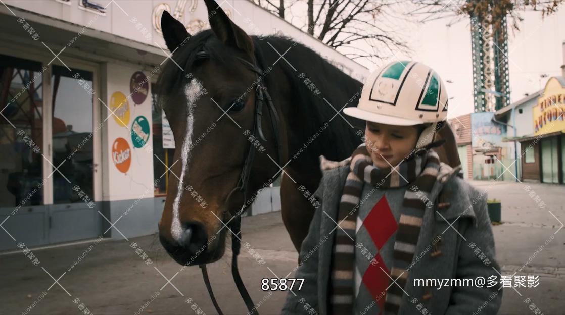 Y 阳台上的马-2013.mkv_20250927_203049.347.jpg Y 阳台上的马-2013.mkv_20250927_203049.347.jpg