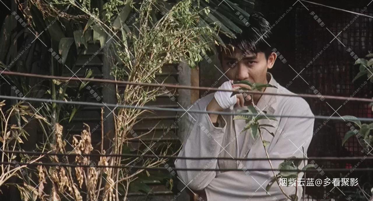 三轮车夫.Cyclo.1995.HD720P.梁朝伟主演.国越双语.中日字幕.mp4_20251002_185229.556.jpg 三轮车夫.Cyclo.1995.HD720P.梁朝伟主演.国越双语.中日字幕.mp4_20251002_185229.556.jpg