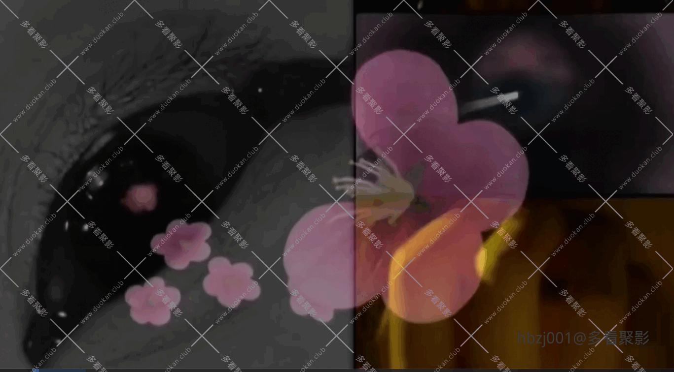 QQ截图20251005080632 (1).png QQ截图20251005080632 (1).png