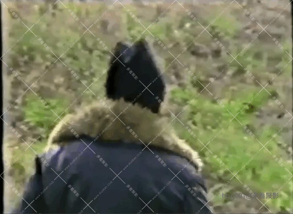 QQ截图20251005083954 (1).png QQ截图20251005083954 (1).png