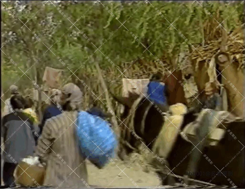 QQ截图20251007075325 (1).png QQ截图20251007075325 (1).png