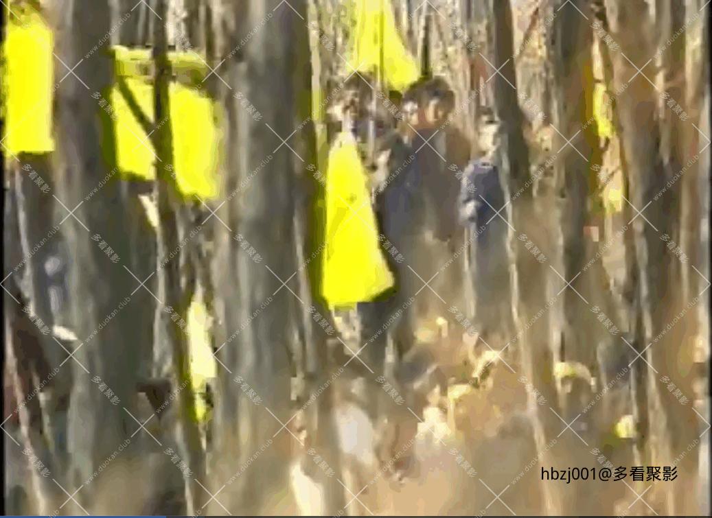 QQ截图20251007075632 (1).png QQ截图20251007075632 (1).png