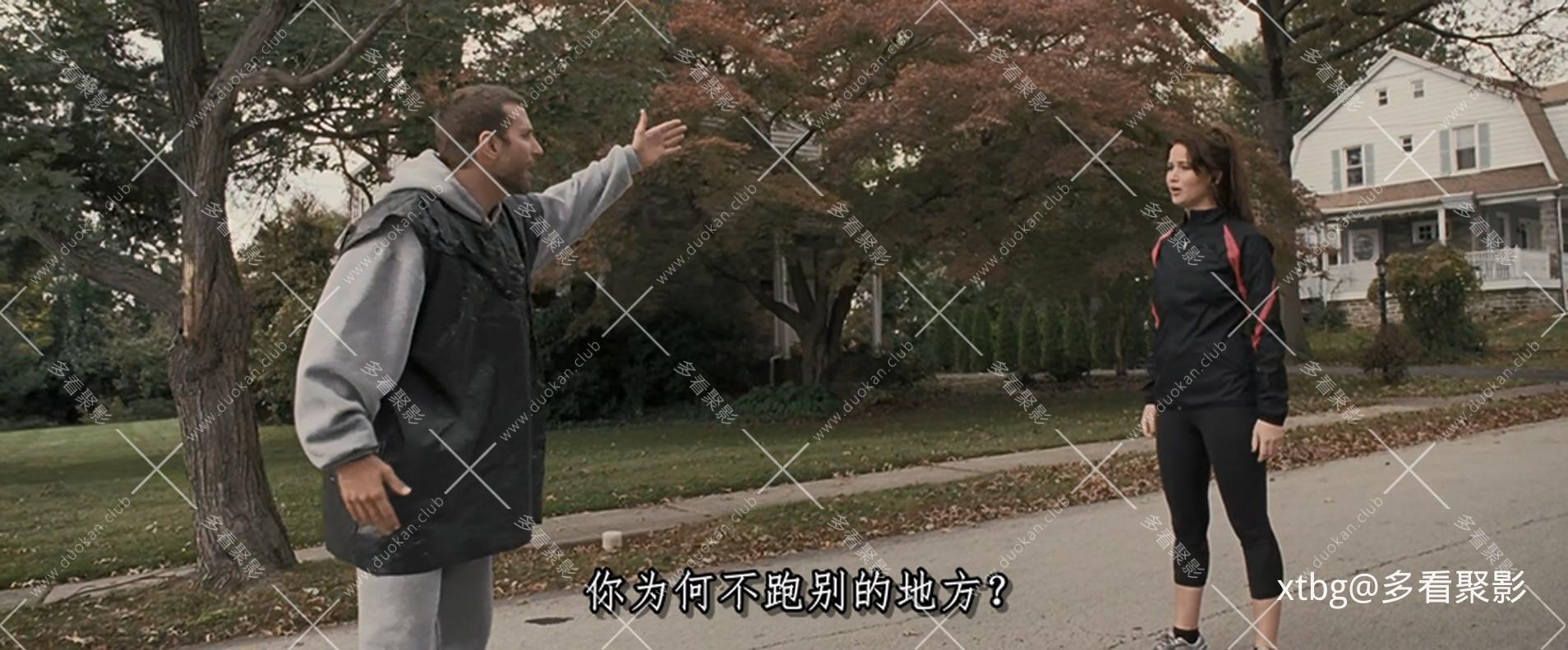 乌云背后的幸福线.Silver.Linings.Playbook.2010.1080p.Web-DL.x265.2Audios.mkv_2025.jpg