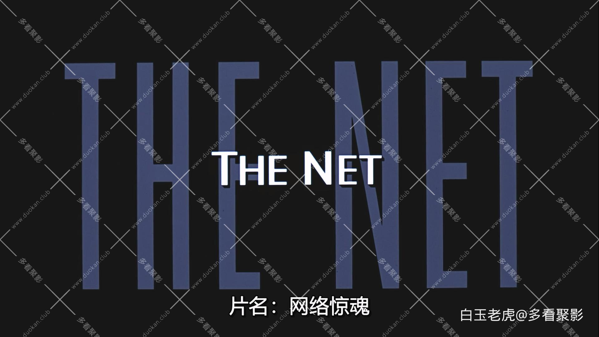 网络惊魂.The.Net.1995.1080p.NF.WEB-DL.x264.DDP5.1.2Audio-MOMOWEB-bylh..mkv_20251.jpg