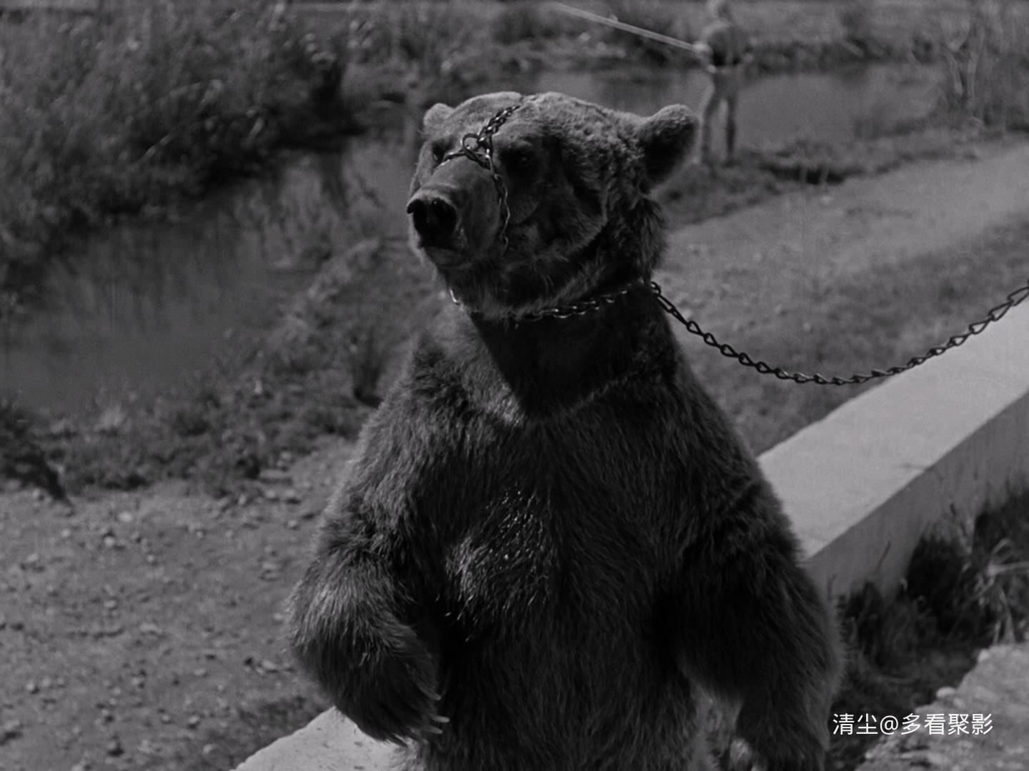 1942 夜间来客 The Devil's Envoys.mkv_20251127_105740.763.jpg