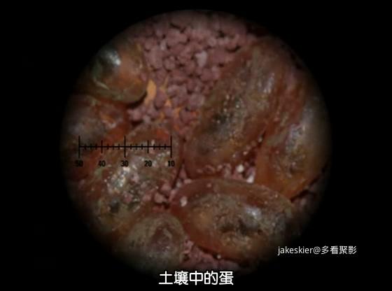 外星界限S01 (2).jpg