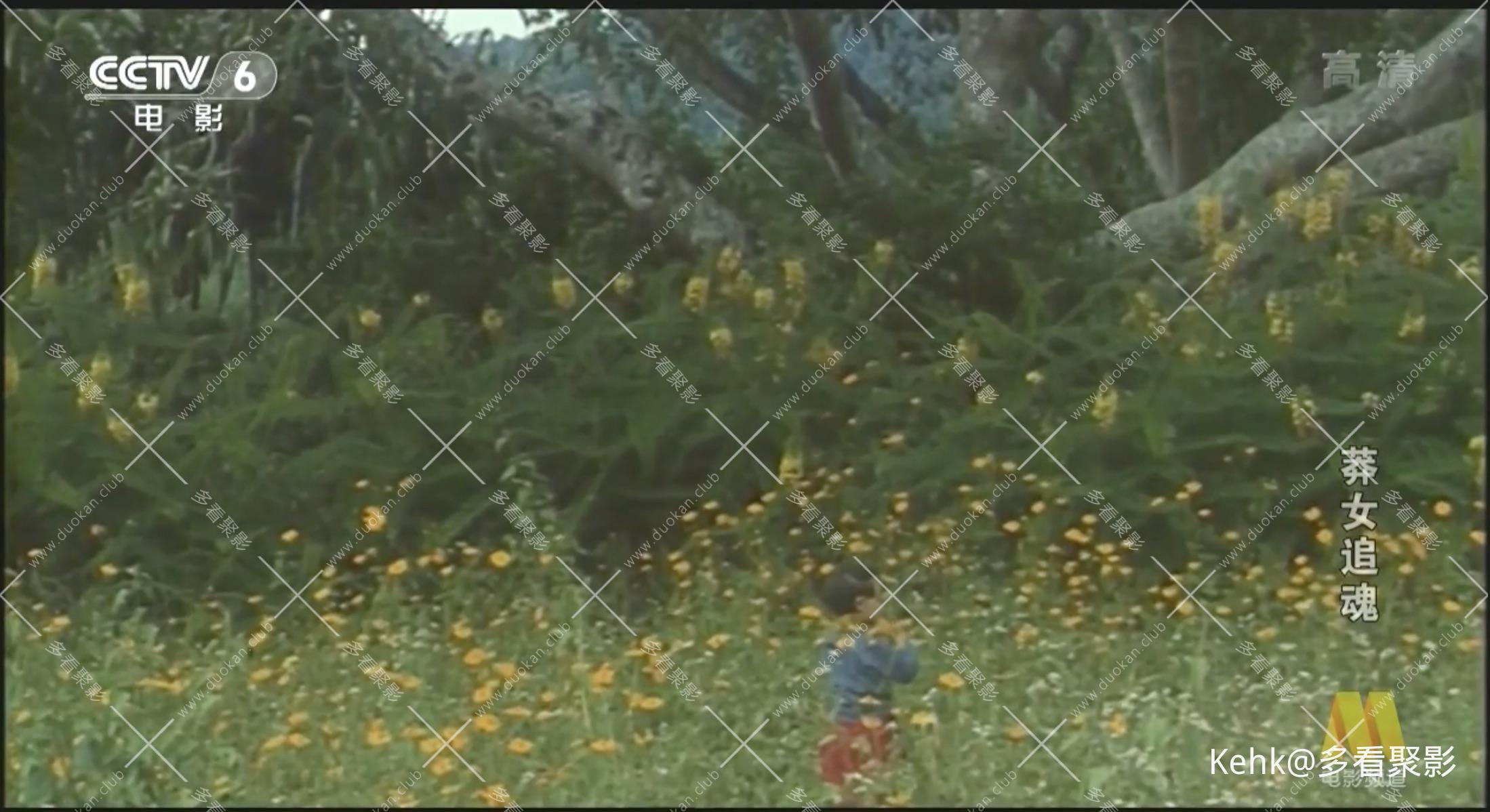 截屏2025-12-14 10.17.46.jpeg