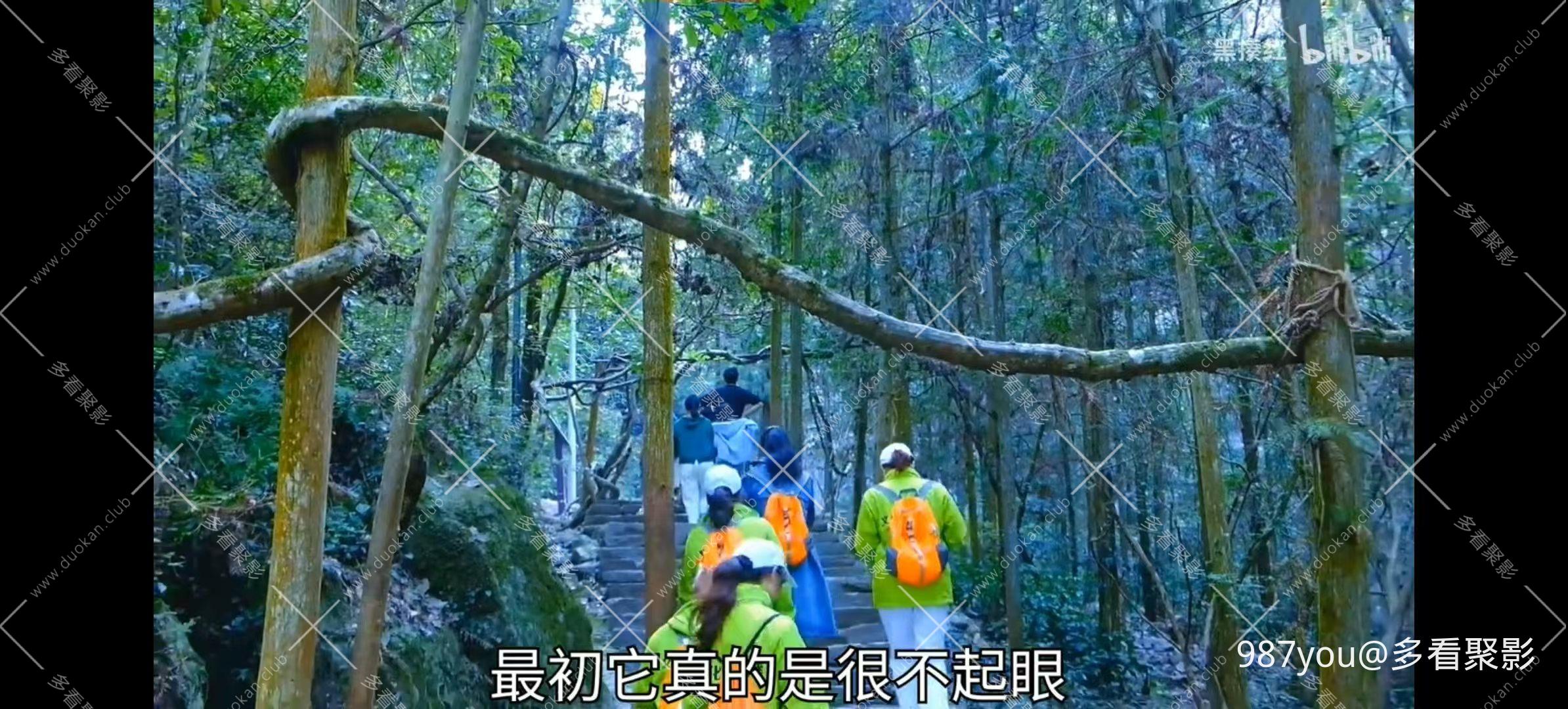 微信图片_20251218101949 - 副本.jpg