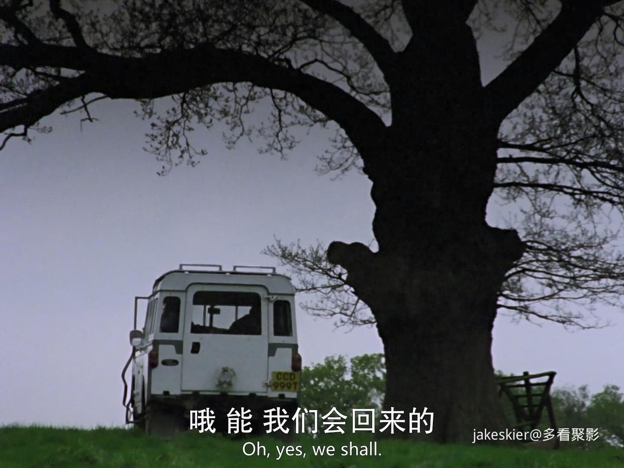 三尖树时代 (1).jpg