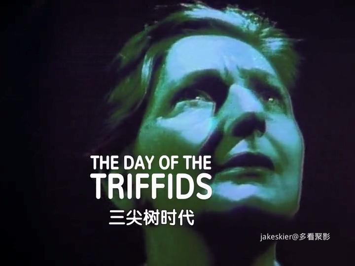 三尖树时代 (2).jpg