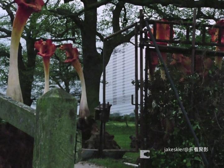 三尖树时代 (5).jpg