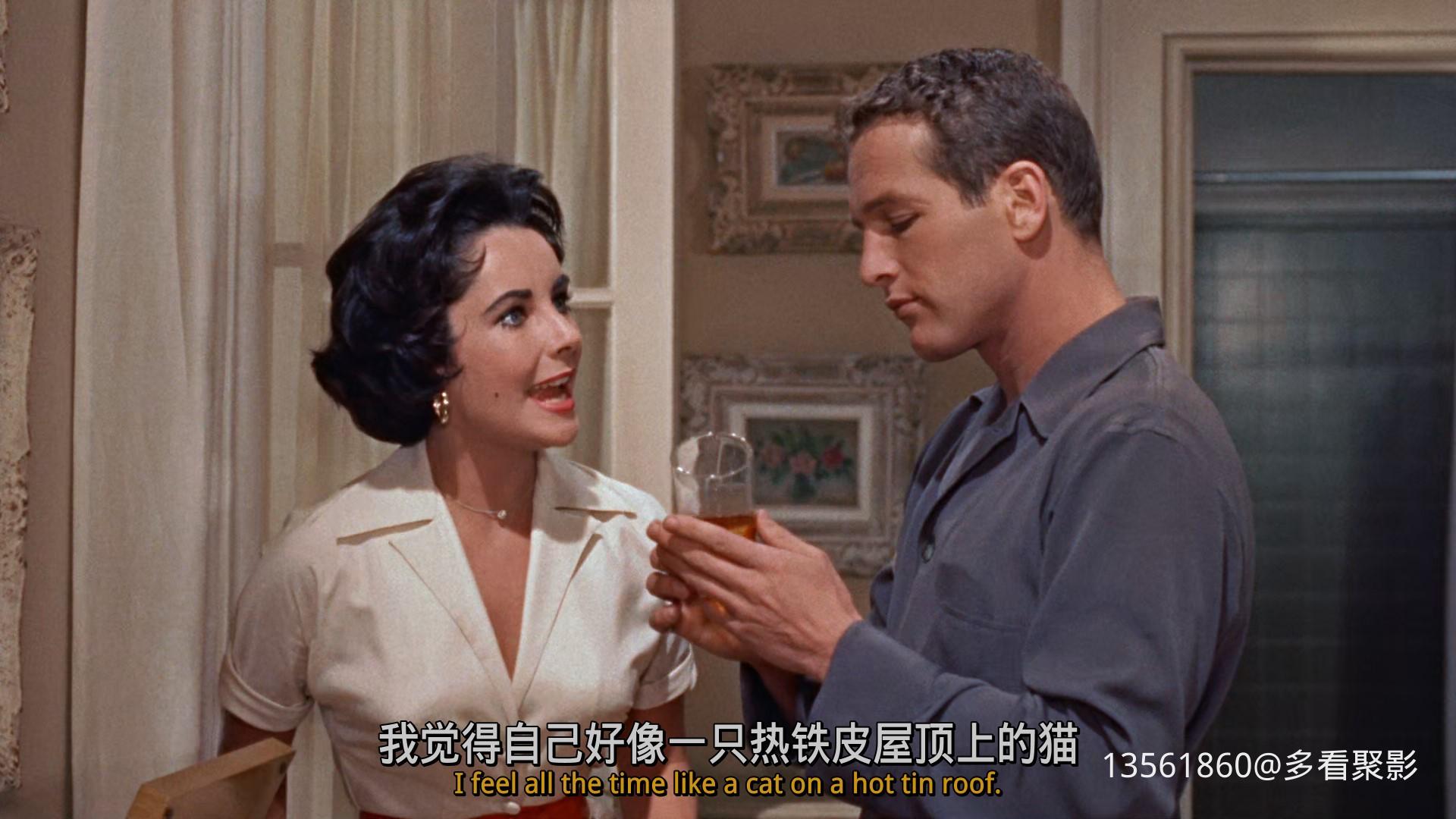 热铁皮屋顶上的猫Cat on a Hot-00_12_47-2025_12_26_09_43_04.jpg