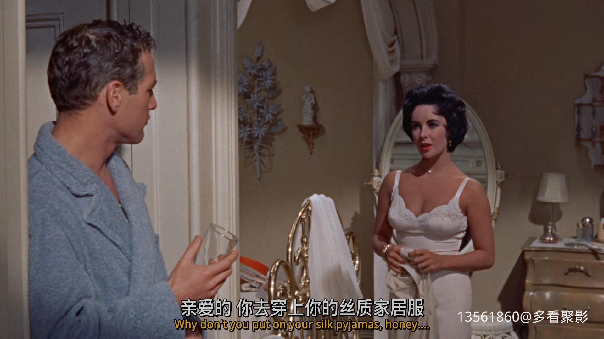 热铁皮屋顶上的猫Cat on a Hot-00_20_04-2025_12_26_09_46_26.jpg