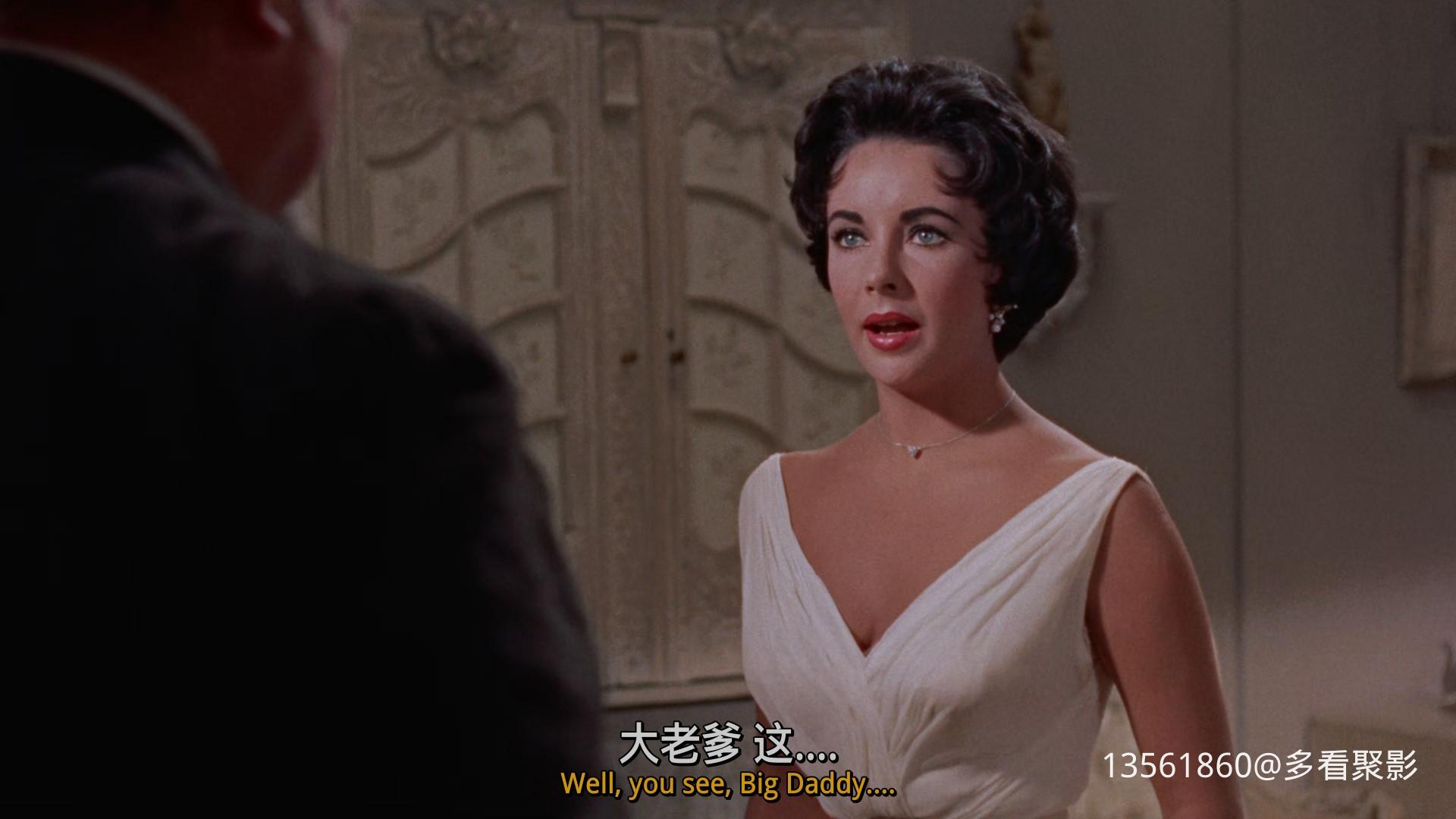 热铁皮屋顶上的猫Cat on a Hot-00_58_04-2025_12_26_09_57_42.jpg