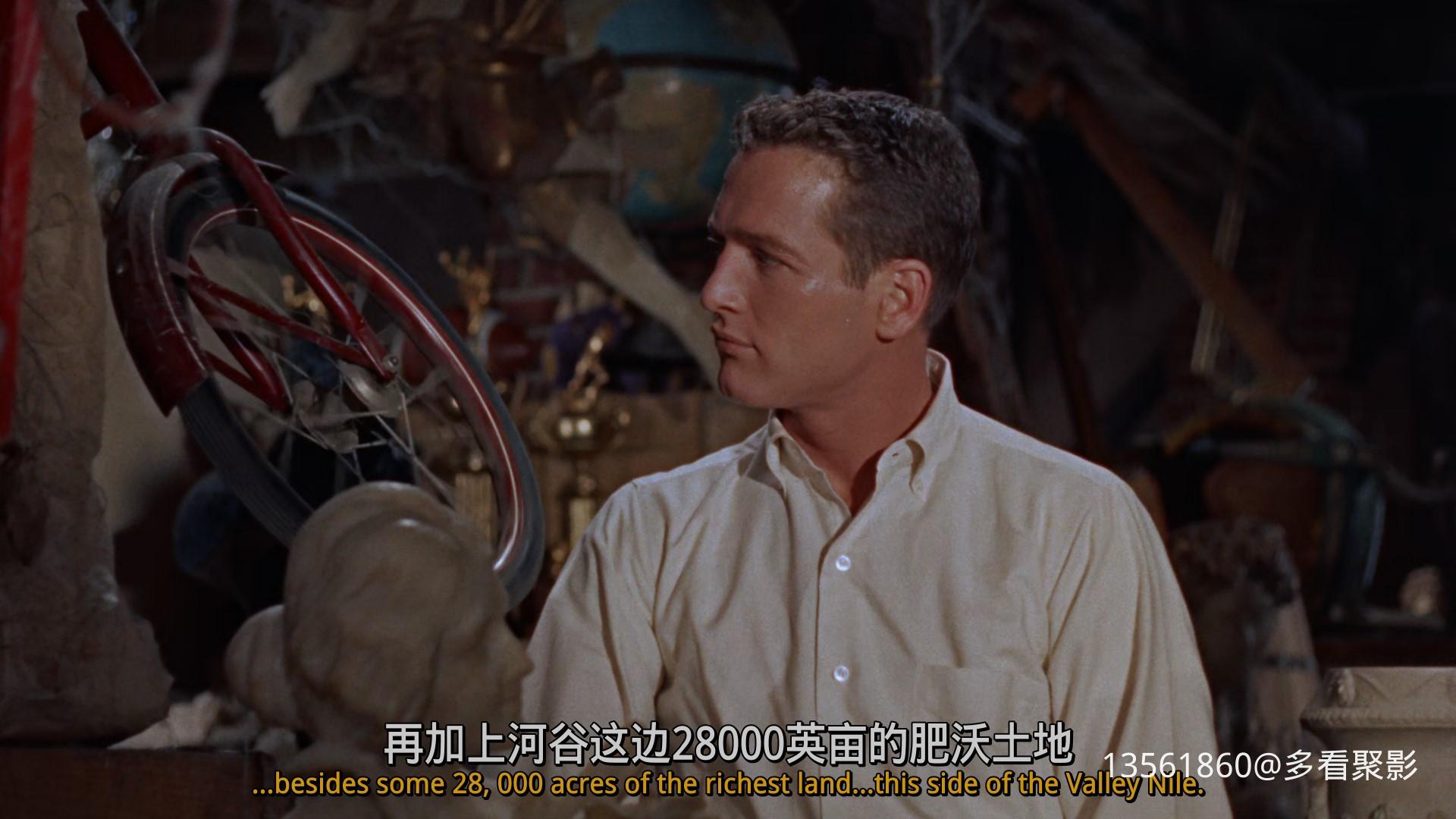 热铁皮屋顶上的猫Cat on a Hot-01_29_59-2025_12_26_10_10_44.jpg