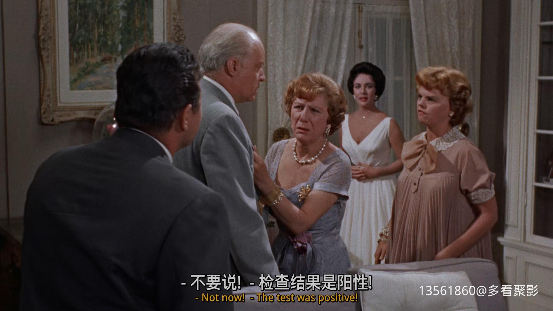 热铁皮屋顶上的猫Cat on a Hot-01_18_23-2025_12_26_10_11_18.jpg