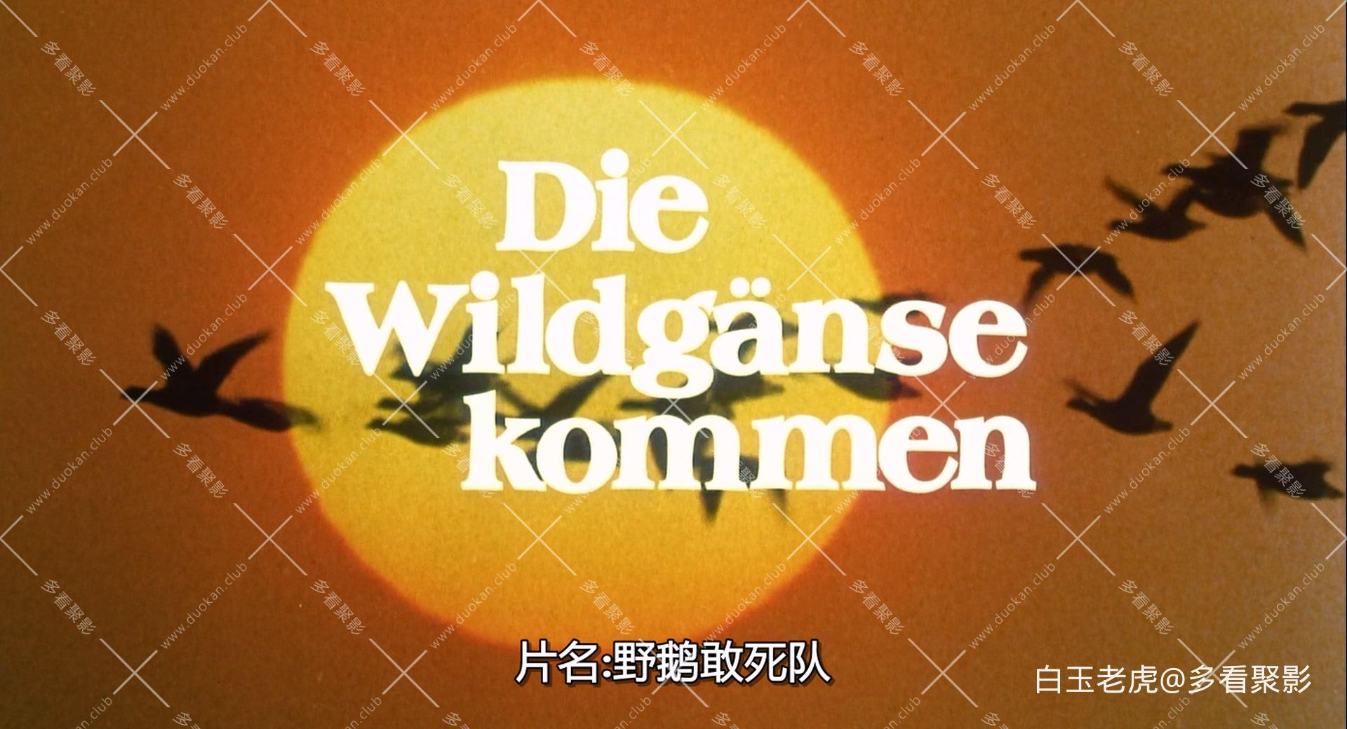 野鹅敢死队.The.Wild.Geese.1978.1080p.BluRay.x264.DTS5.1.2Audio-bylh.mkv_20251226.jpg
