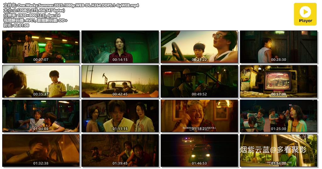 One.Wacky.Summer.2025.1080p.WEB-DL.H264.DDP5.1-GyWEB.mp4.jpg