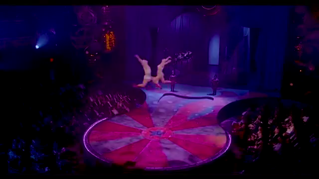 【太阳马戏团】 Zumanity 秀  [00_54_44][20260214-142334].png