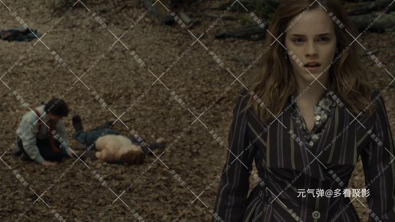 哈利·波特与死亡圣器(上).Harry.Potter.And.The.Deathly.Hallows.Part.1.2010.Open.M.jpg
