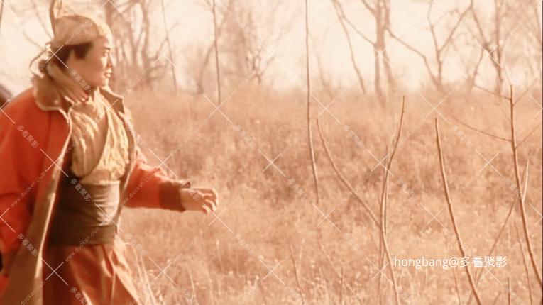 静态截图 (30).jpg