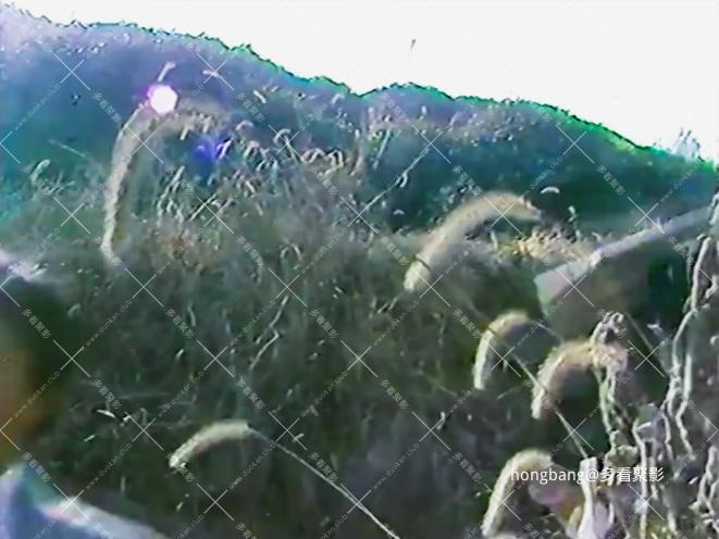 绝命杀手3[00_28_18][20260307-213537] 副本.png