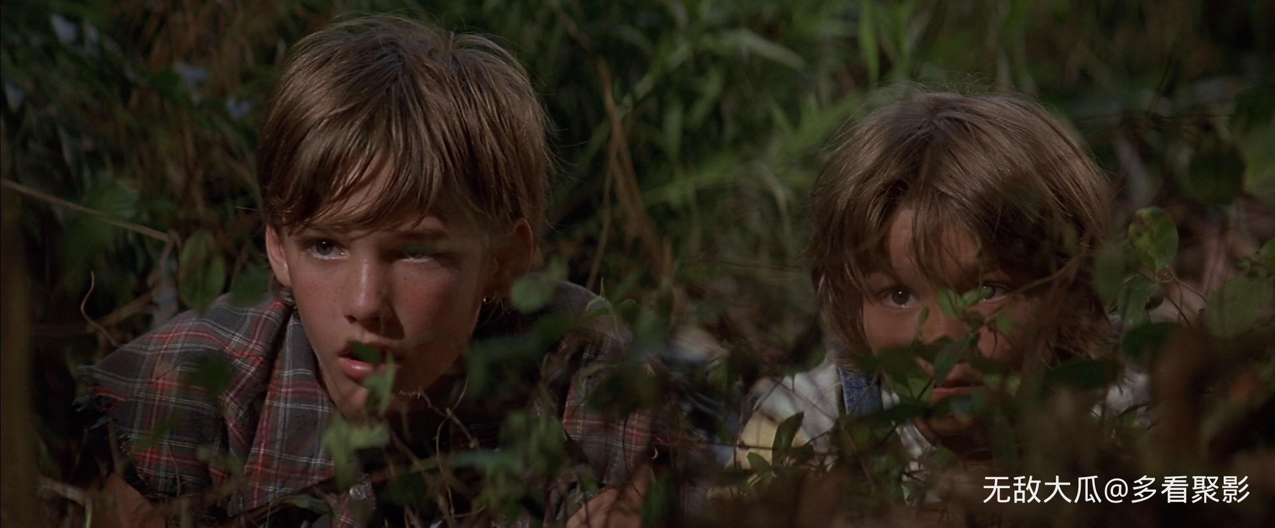 屏幕截图 2026-03-07 234818.jpg