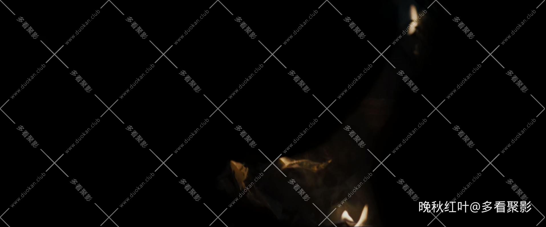 The.Grey.2012.BluRay.1080p.DTS-HDMA.5.1.x265.10bit-Xiaomi.mkv_20260314_110117.446.jpg