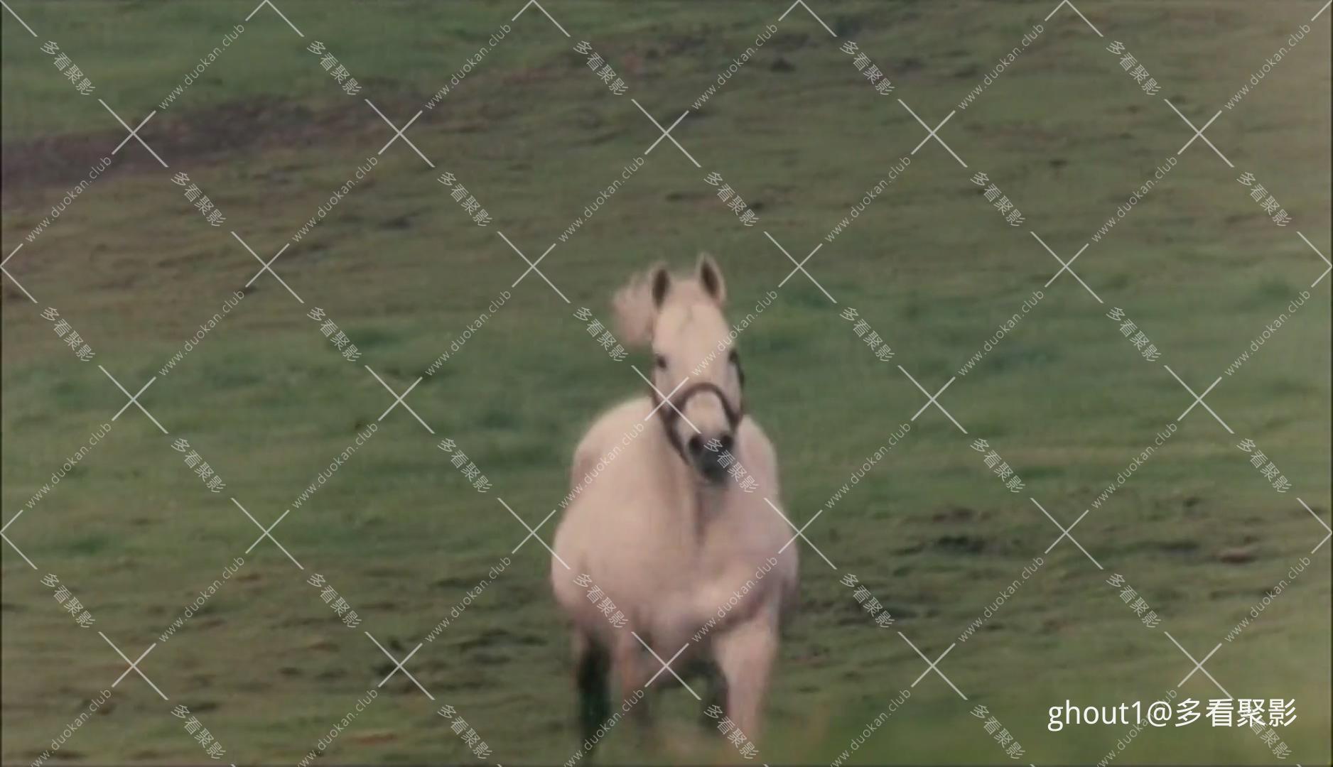 优骏奥拉西翁.mp4_000241.590.jpg