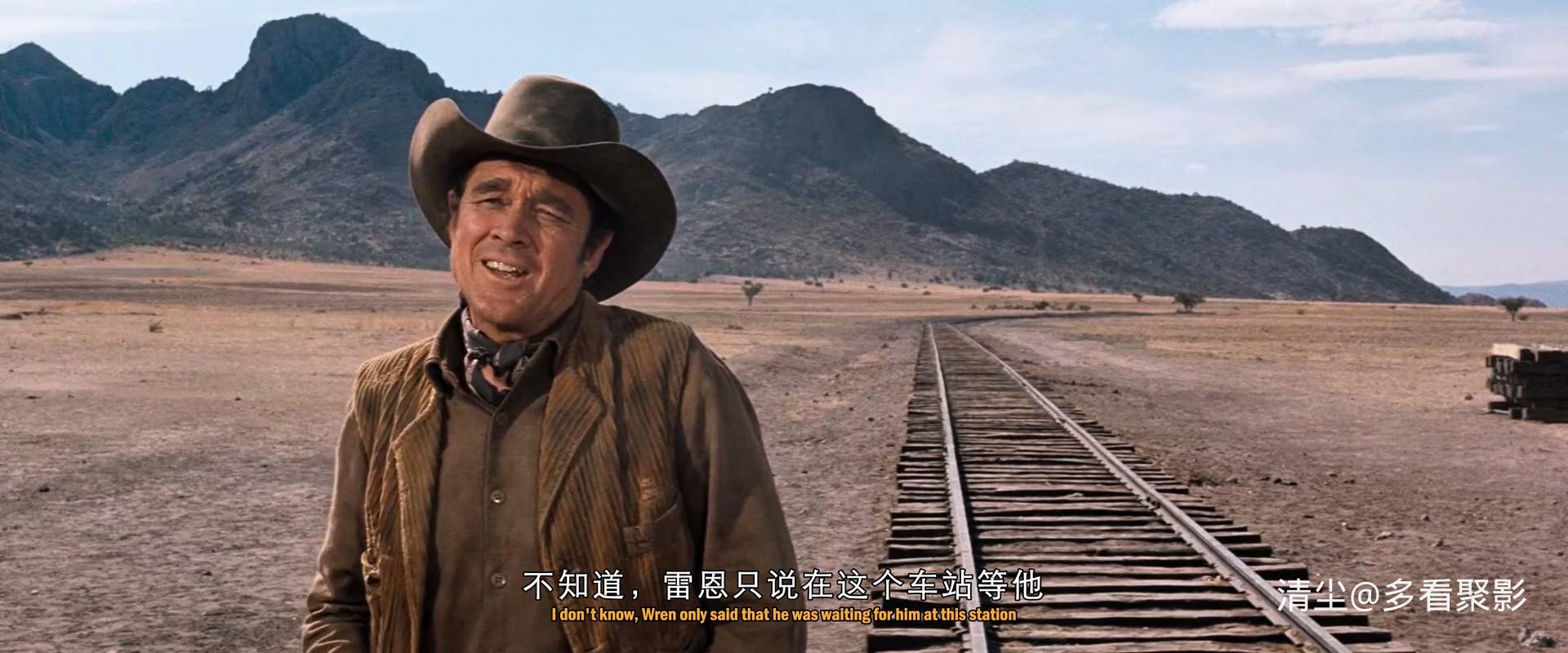 1973 列车大盗 The Train Robbers.mkv_20260314_172433.784.jpg