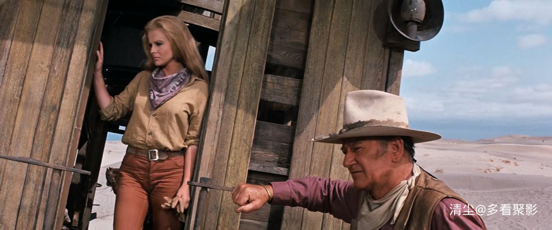 1973 列车大盗 The Train Robbers.mkv_20260314_172652.383.jpg