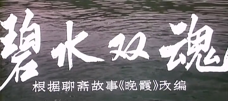 bssh.mp4_000015.965.jpg
