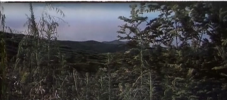 bssh.mp4_000159.840.jpg