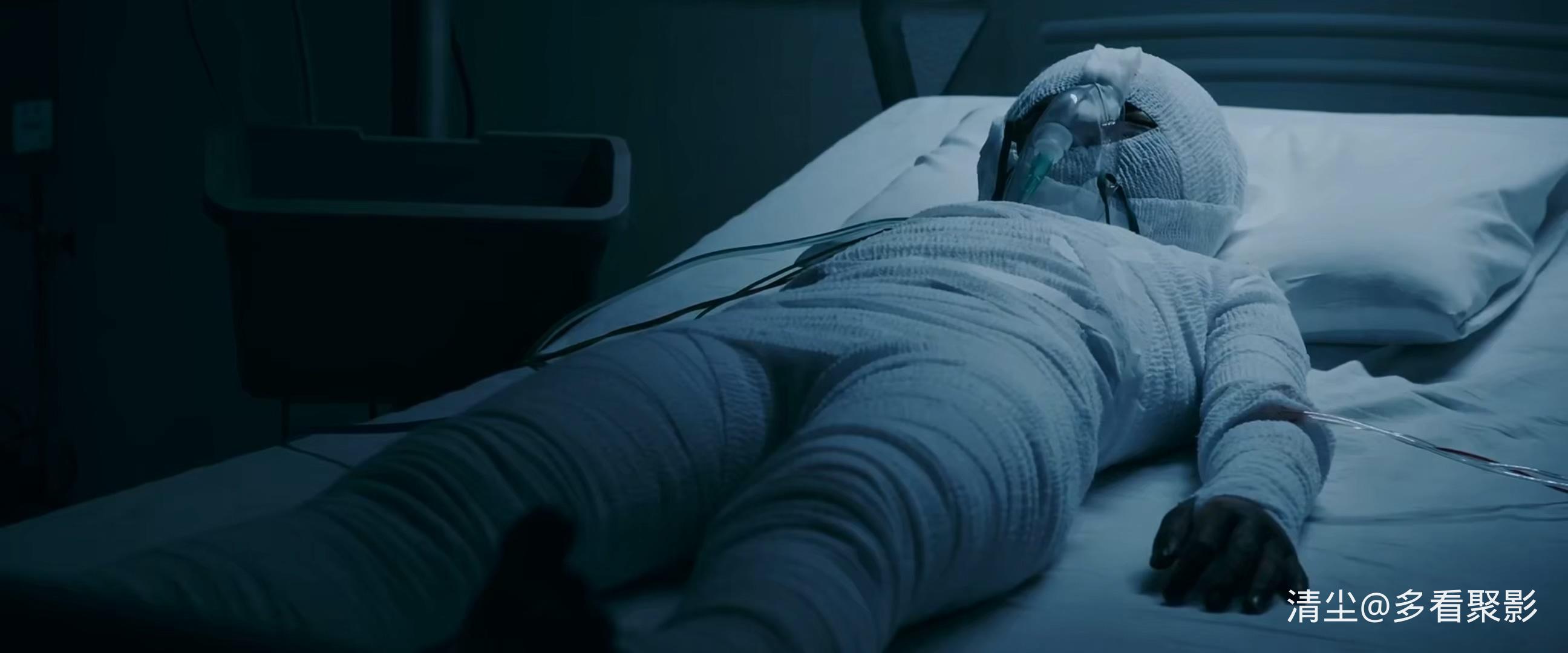 2018 三角草的春天 Liverleaf.mkv_20260320_151340.310.jpg