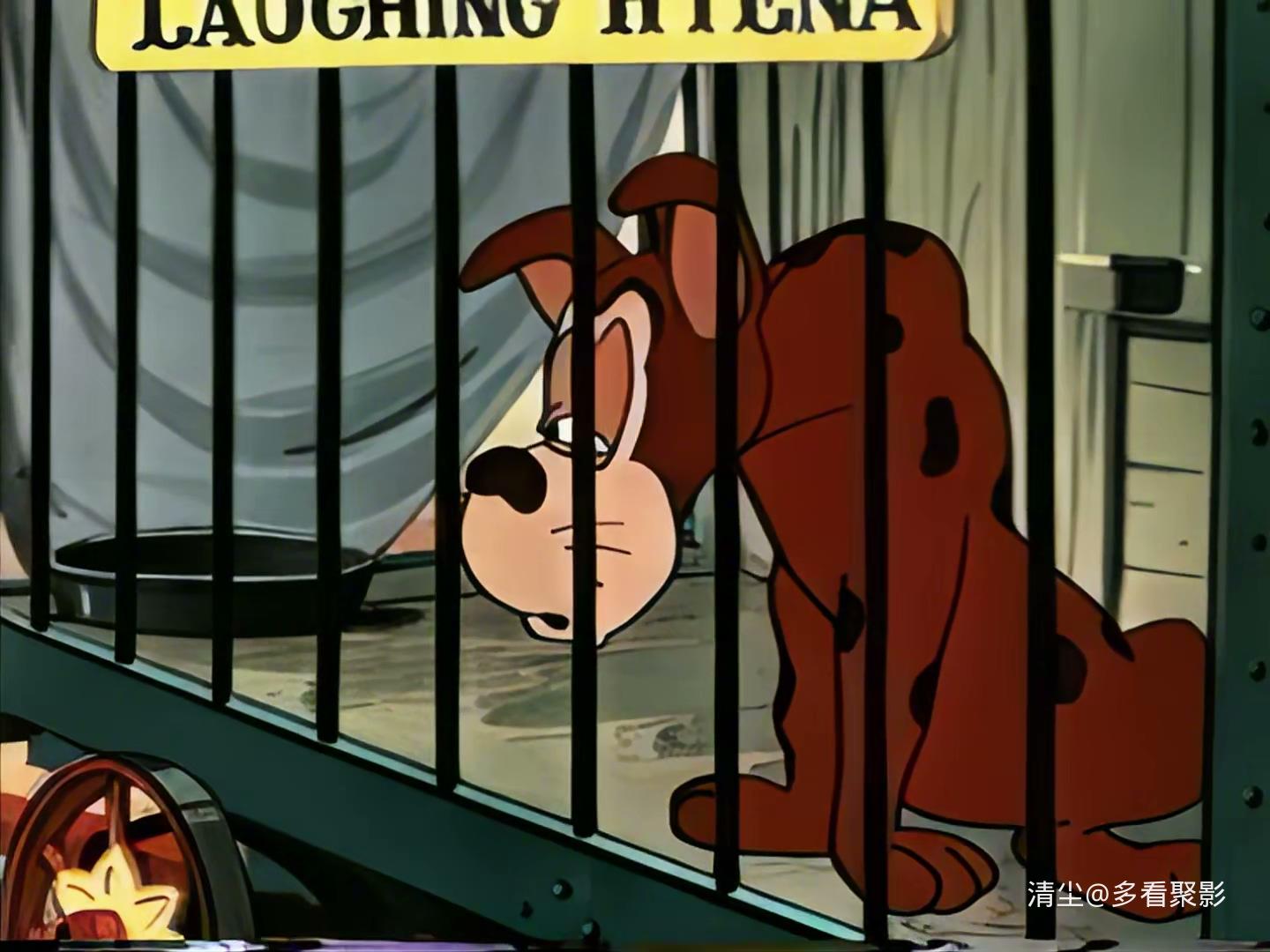 21 盖茨伯和不会笑的狗.mp4_20260327_150320.129.jpg