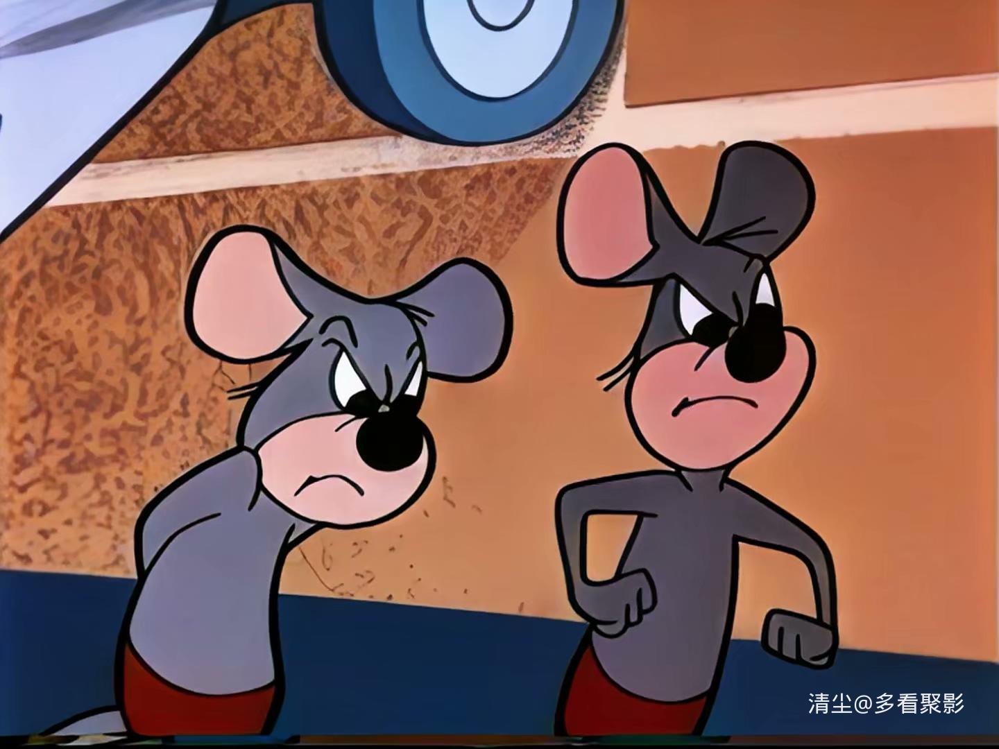 23 有趣的休假.mp4_20260327_150339.554.jpg