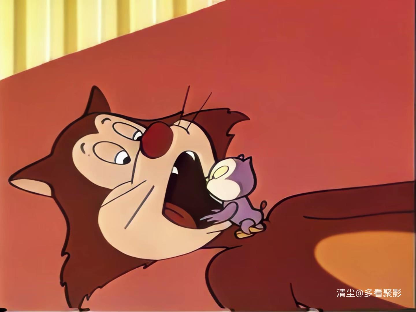 32 找窝的猫头鹰.mp4_20260327_150529.777.jpg