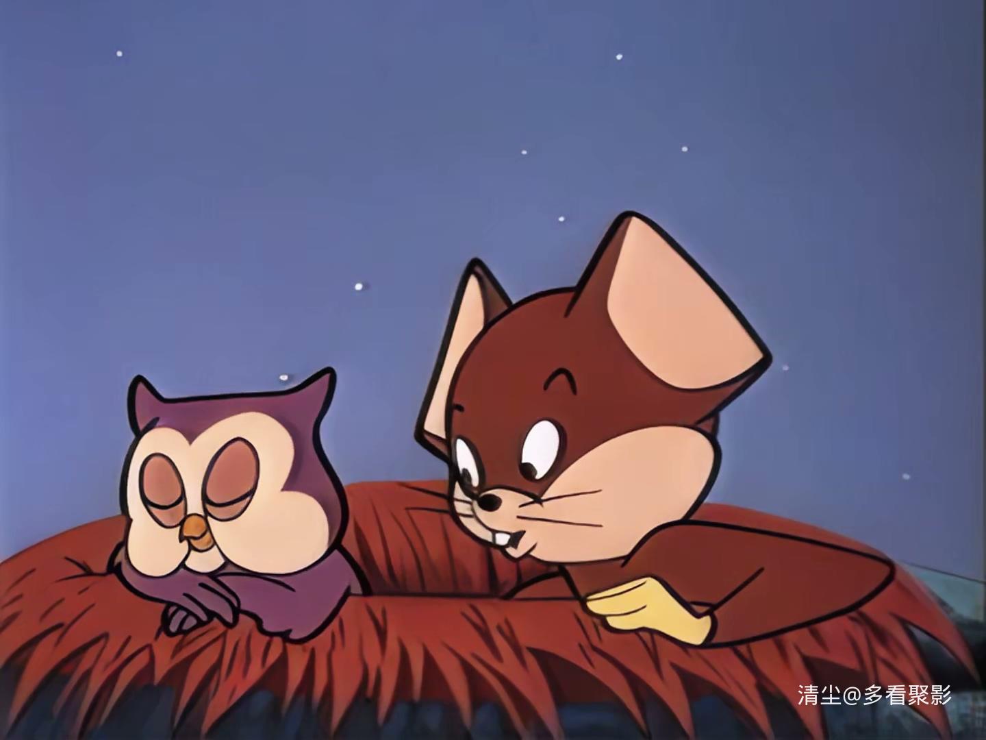 32 找窝的猫头鹰.mp4_20260327_150537.468.jpg