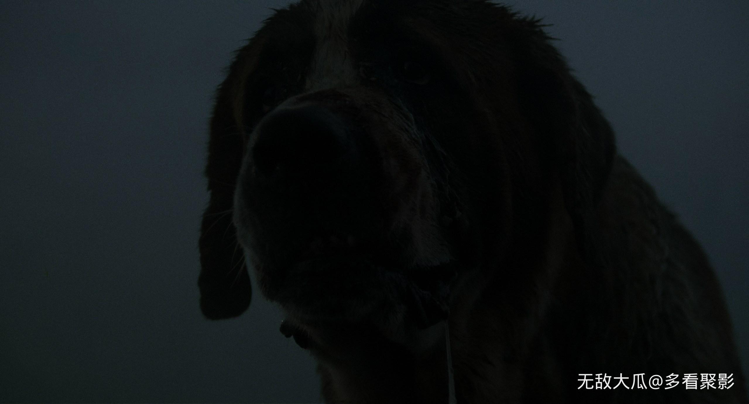 屏幕截图 2026-04-01 034610.jpg