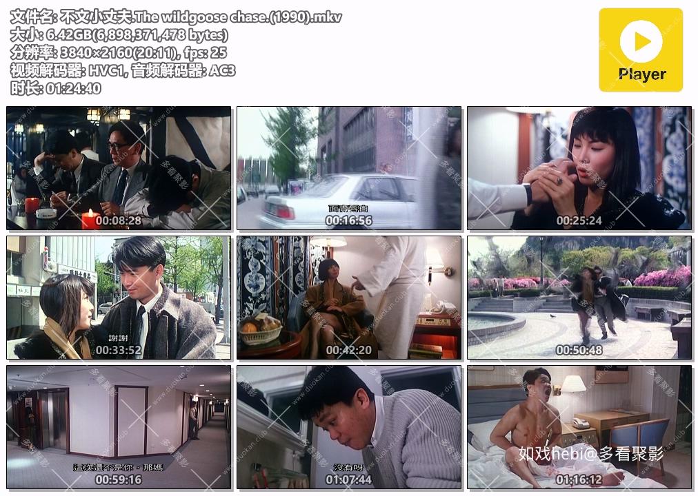 不文小丈夫.The wildgoose chase.(1990).mkv.jpg
