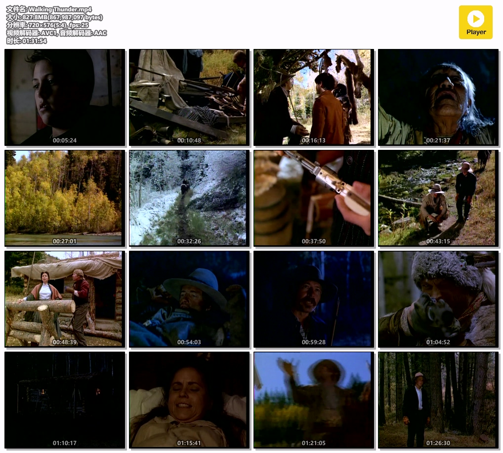 Walking Thunder.mp4.jpg