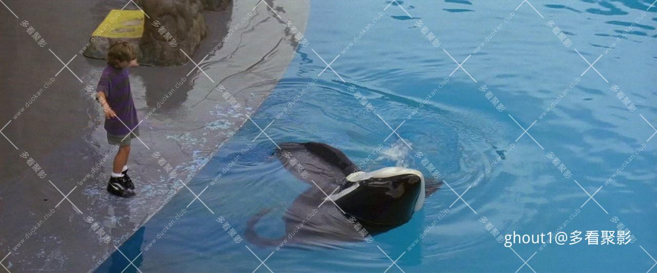 人鱼童话 Free Willy 1993.mkv_004408.646.jpg