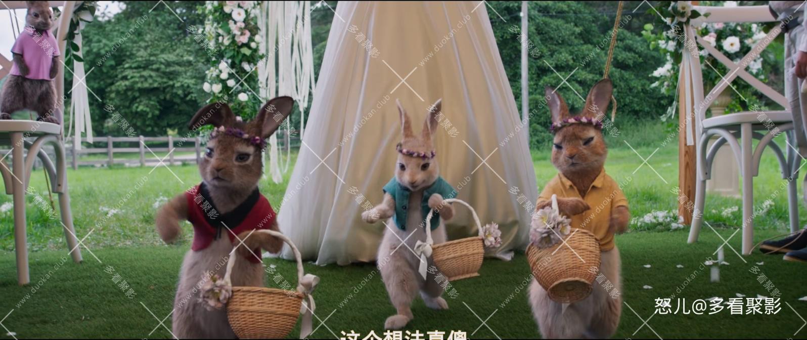 比得兔2：逃跑计划.Peter.Rabbit.2.The.Runaway.2021.1080p.10Bit.BluRay,HEVC.x265.2.jpg